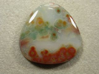Polka dot Agate