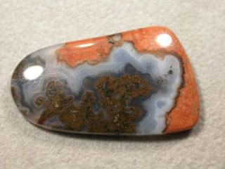Noriega Lace Agate