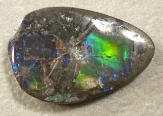Ammolite