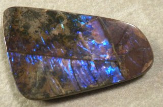 Ammolite