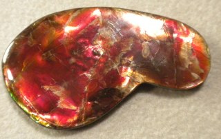 Ammolite