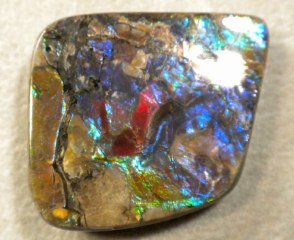 Ammolite