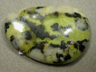 Serpentine