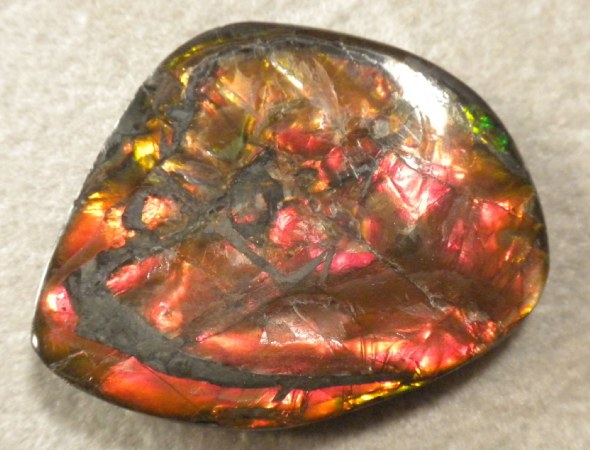 Ammolite