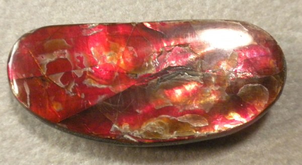 Ammolite