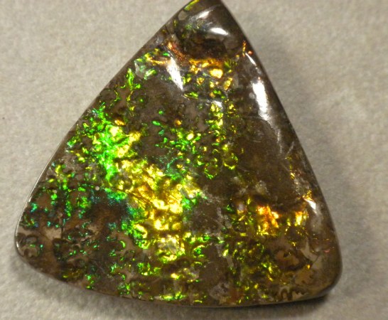 Ammolite