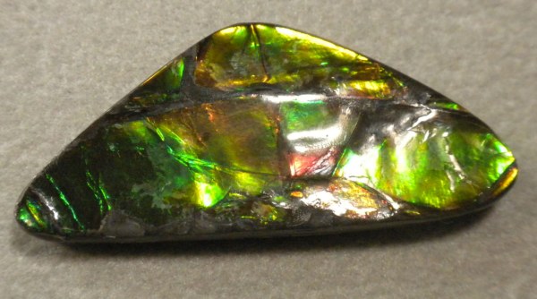 Ammolite