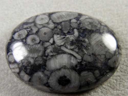 Crinoid Marble