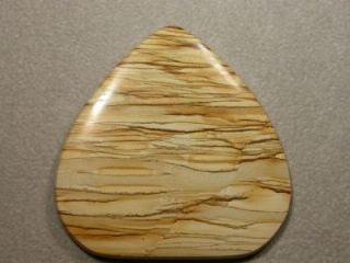Owyhee picture jasper